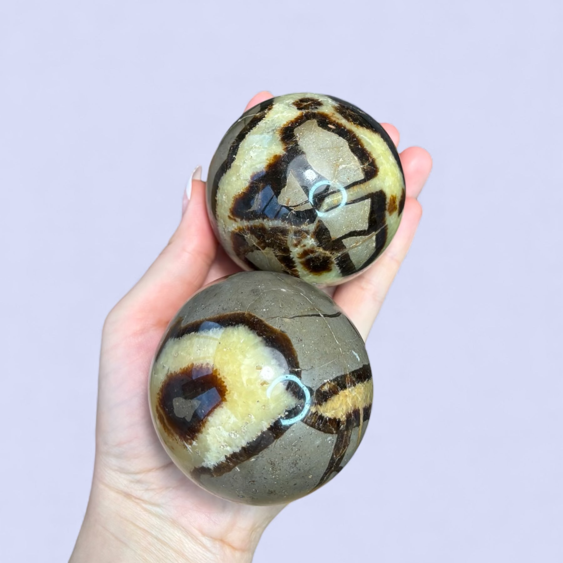 Septarian, klot