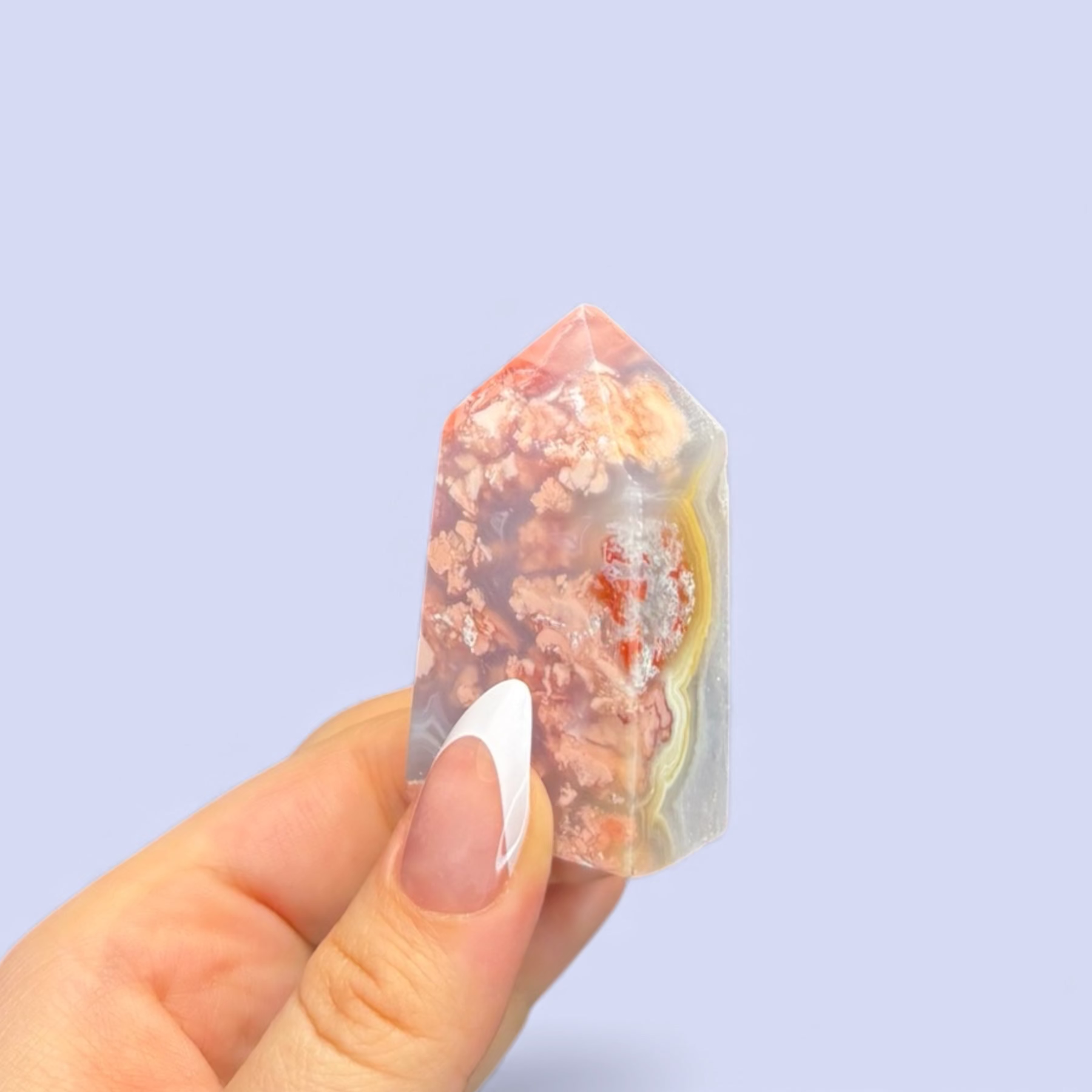 Rosa blomsteragat, torn #1