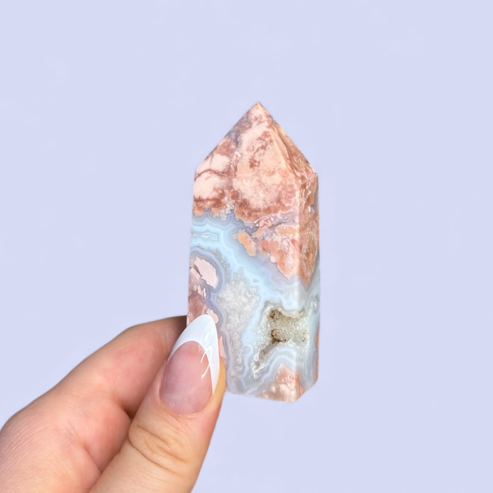 Rosa blomsteragat, torn #3